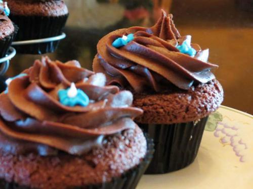 Chocolate Frosted Cupcakes