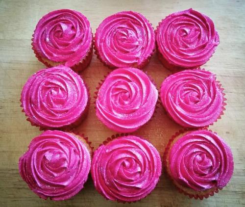 Pink Rose Swirls